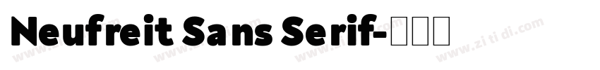 Neufreit Sans Serif字体转换